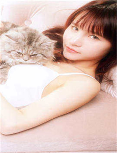 唐突的女子国语版/魅影直播间b站直播有什么好处