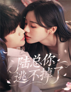 飞天大盗 第四季