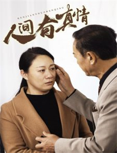 萨苏:日本幕府时代的将军