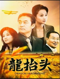 追捕(2017)