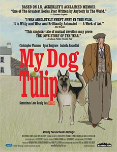 王刚讲故事之情乱情迷