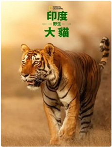 冥界警局2:咒灵崛起